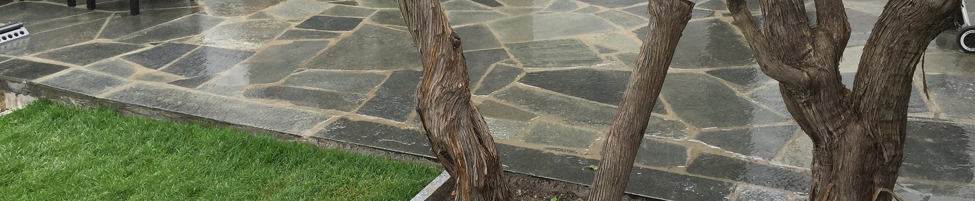 Vi har lång erfarenhet och rutinerad personal Vi har lång erfarenhet och rutinerad personal